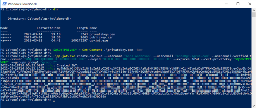 qs-jwt running on Windows Server 2016, using existing private key as parameter